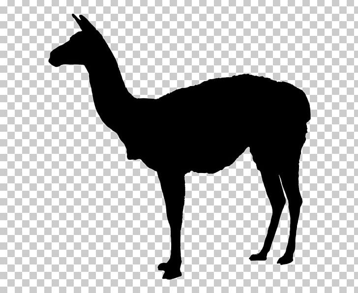 Llama Deer PNG, Clipart, Animals, Art, Autocad Dxf, Black And White, Camel Like Mammal Free PNG Download