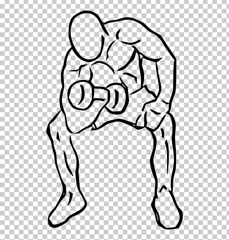 Biceps Curl Dumbbell Bench Exercise PNG, Clipart, Arm, Art, Barbell, Biceps, Black Free PNG Download