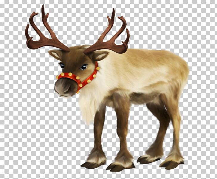 Reindeer Santa Claus Village Rudolph Sled PNG, Clipart,  Free PNG Download