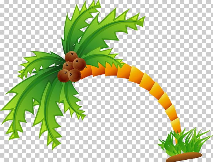 Arecaceae Coconut Tree PNG, Clipart, Arecaceae, Arecales, Artworks, Coconut, Coconut Tree Free PNG Download