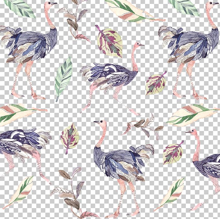 Common Ostrich Bird Creativity Illustration PNG, Clipart, Animals, Beak, Designer, Diagram, Drawing Free PNG Download