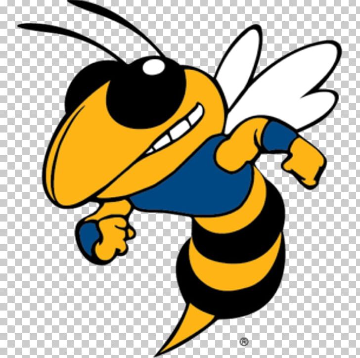 Georgia Institute Of Technology Georgia Tech Yellow Jackets Football Yellowjacket Hornet PNG, Clipart, Artwork, Beak, Bee, Buzz, Georgia Institute Of Technology Free PNG Download