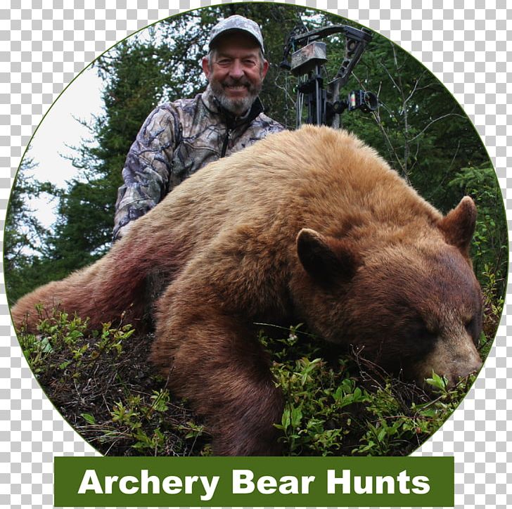 Grizzly Bear Bear Hunting Outfitter PNG, Clipart, Animals, Archery, Avid, Bear, Bear Hunting Free PNG Download