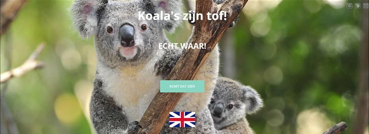 Koala Desktop High-definition Television Display Resolution Theme PNG, Clipart, Animal, Animals, Computer, Computer Monitors, Cuteness Free PNG Download