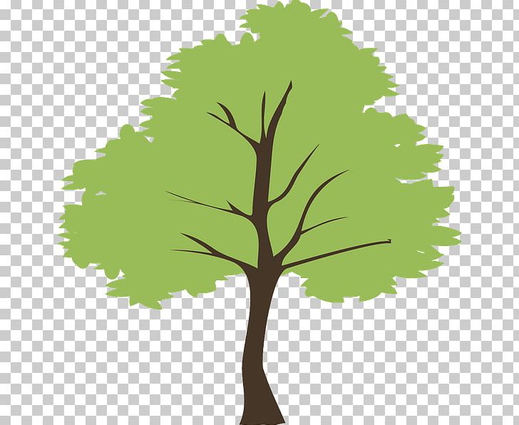 Tree PNG, Clipart, Branch, Computer Icons, Computer Wallpaper, Desktop Wallpaper, Encapsulated Postscript Free PNG Download