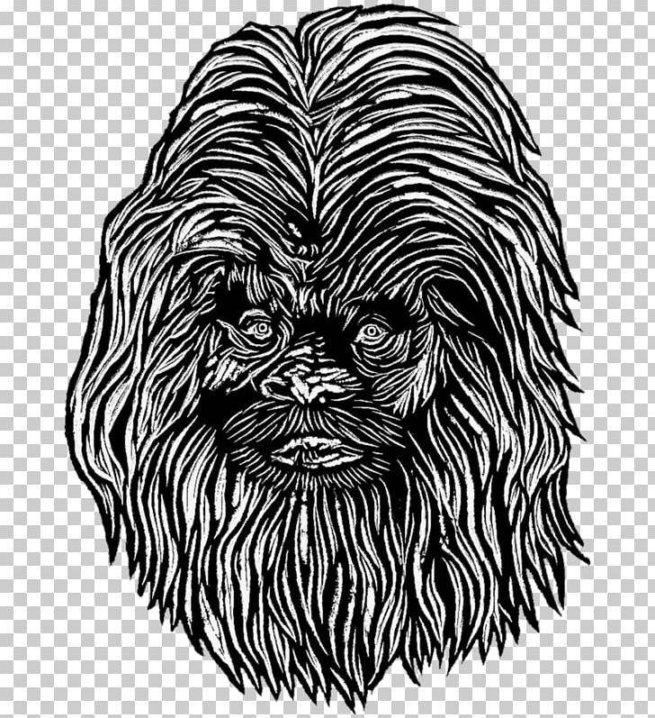 Affenpinscher Cairn Terrier Dog Breed Whiskers Snout PNG, Clipart, Art, Black, Black And White, Breed, Cairn Terrier Free PNG Download