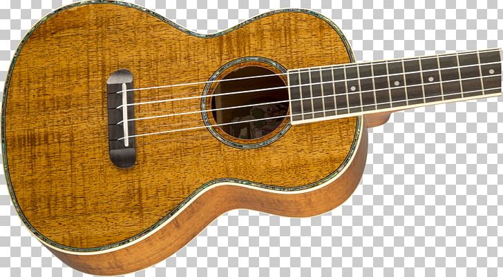 Fender Nohea Koa Tenor Ukulele Acoustic Guitar Bass Guitar Musical Instruments PNG, Clipart, Acoustic Electric Guitar, Acoustic Guitar, Bass Guitar, Cuatro, Guitar Accessory Free PNG Download