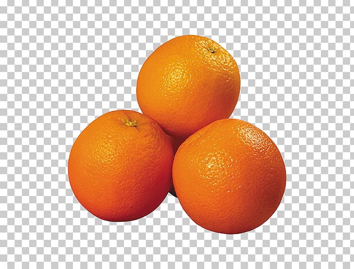 Orange Juice Portable Network Graphics Transparency Tangerine PNG, Clipart, Bitter Orange, Blood Orange, Citric Acid, Citrus, Citrus Sinensis Free PNG Download