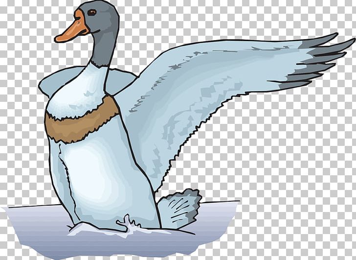 The Ugly Duckling Goose PNG, Clipart, Animals, Beak, Bird, Desktop Wallpaper, Download Free PNG Download