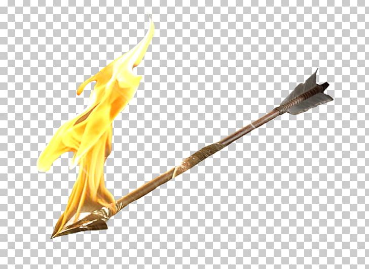 Fire Arrow Flame PNG, Clipart, Archery, Arrow, Bow And Arrow, Branch, Combustion Free PNG Download