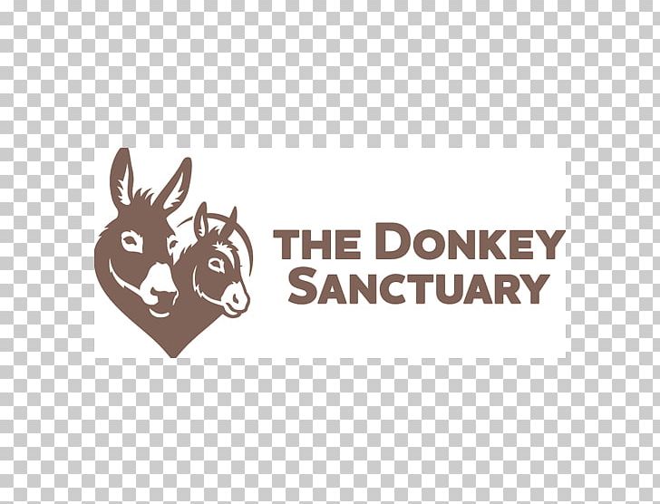 The Donkey Sanctuary Devon Sidmouth Mule Charitable Organization PNG, Clipart, Animal, Animals, Animal Sanctuary, Animal Welfare, Brand Free PNG Download