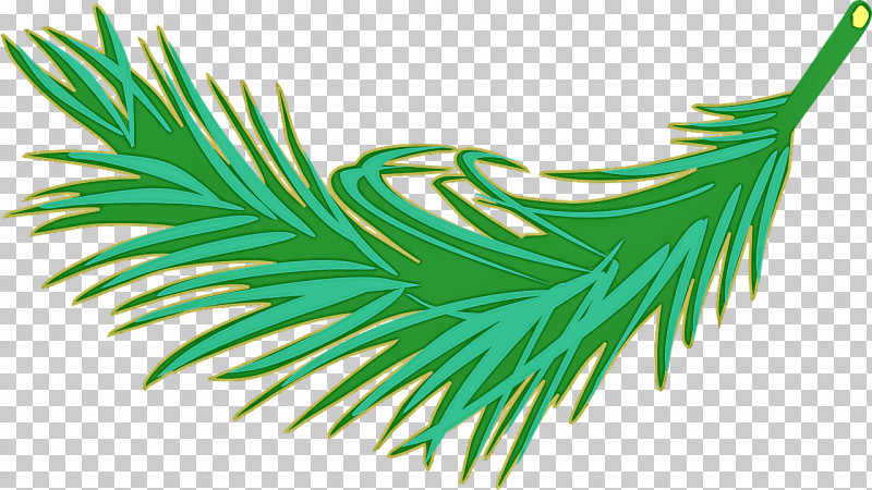 Green Leaf Tree Plant Grass PNG, Clipart, Grass, Green, Leaf, Pine Family, Plant Free PNG Download