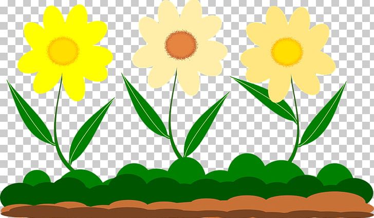 Graphics Drawing PNG, Clipart, Artwork, Daisy, Daisy Family, Download, Drawing Free PNG Download