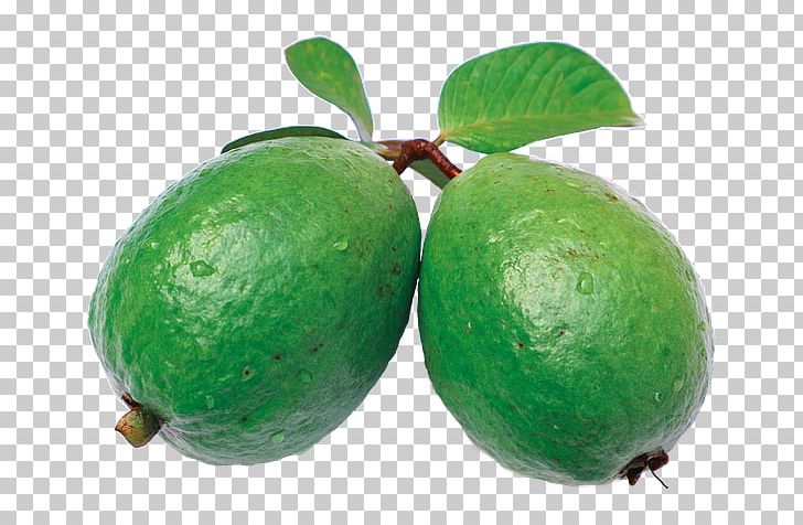 Juice Common Guava Feijoa Orange PNG, Clipart, Auglis, Avocado, Cari, Common Guava, Feijoa Free PNG Download