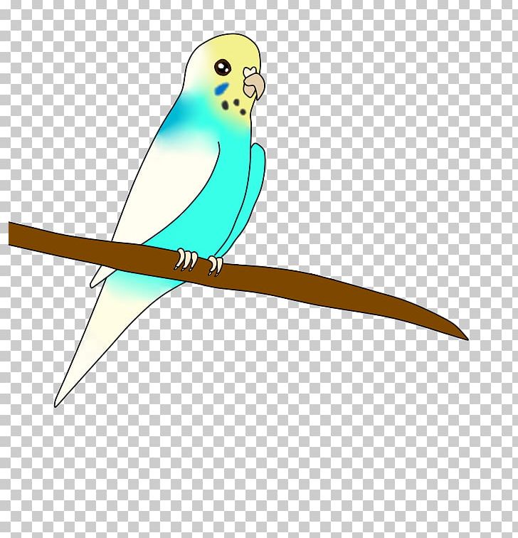 Macaw Parakeet Beak Feather Wing PNG, Clipart, Animals, Beak, Bird, Budgrigar, Common Pet Parakeet Free PNG Download