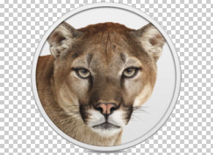 MacBook Pro OS X Mountain Lion Mac OS X Lion MacOS PNG, Clipart, Apple, App Store, Big Cats, Carnivoran, Cat Like Mammal Free PNG Download