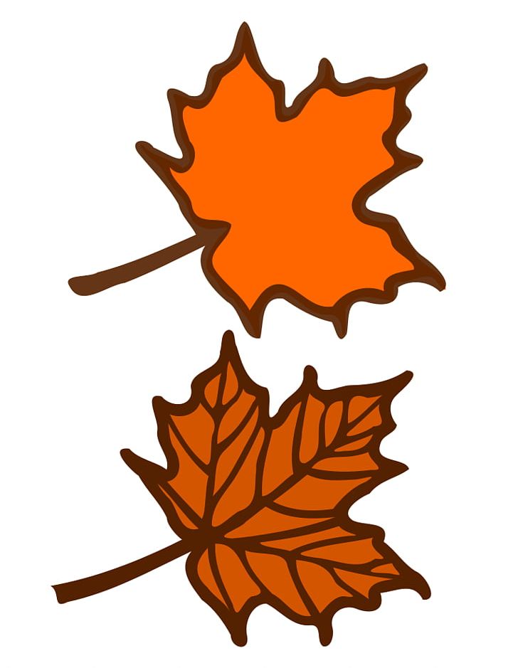 Red Maple Maple Leaf PNG, Clipart, Artwork, Drawing, Free Content, Images Of Maple Leaves, Leaf Free PNG Download