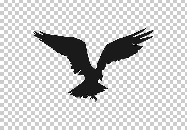 Silhouette Eagle PNG, Clipart, Accipitriformes, Animals, Art, Bald Eagle, Beak Free PNG Download