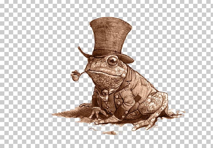 Mr. Toad Frog A La Recherche De Féerie PNG, Clipart, Amphibian, Art, Black And White, Cane Toad, Drawing Free PNG Download