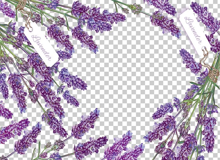 Romantic Lavender Decorative Box PNG, Clipart, Decorative Box, Decorative Patterns, Encapsulated Postscript, Flower, Lavender Free PNG Download