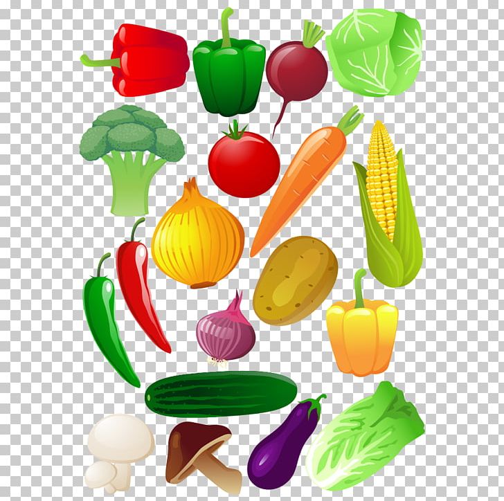 Vegetable Fruit PNG, Clipart, Bean, Bell Pepper, Cabbage, Chinese, Chinese Cabbage Free PNG Download