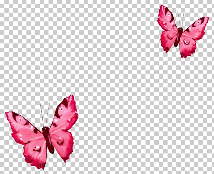 Butterfly Portable Network Graphics Borboleta PNG, Clipart, Arthropod, Borboleta, Butterfly, Download, Encapsulated Postscript Free PNG Download