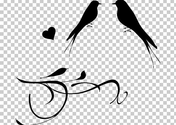 Lovebird Wedding Drawing PNG, Clipart, Animals, Art, Artwork, Beak, Bird Free PNG Download
