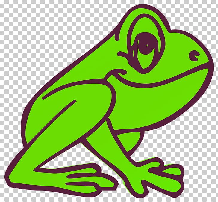 Tree Frog Coloring Book Kermit The Frog Frog And Toad PNG, Clipart, Adult, Amphibian, Animal Figure, Animals, Area Free PNG Download