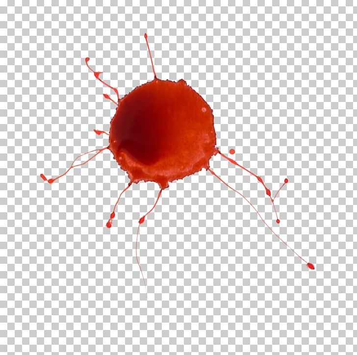 Blood Close-up Organism PNG, Clipart, Blood, Closeup, Miscellaneous, Organism, Red Free PNG Download