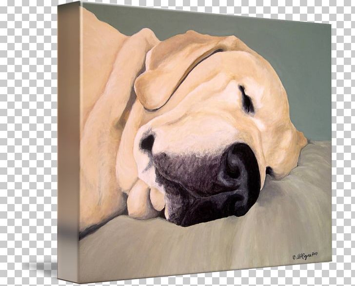 Labrador Retriever Puppy Dog Breed Sporting Group PNG, Clipart, Art, Breed, Canvas, Carnivoran, Crossbreed Free PNG Download