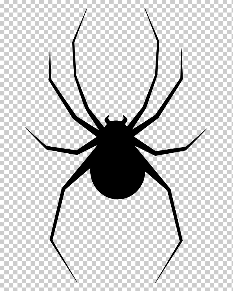Spider Arachnid Line Pest Widow Spider PNG, Clipart, Arachnid, Insect, Line, Orbweaver Spider, Pest Free PNG Download
