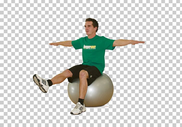 Exercise Balls Abdominal Exercise Rectus Abdominis Muscle PNG, Clipart, Abdomen, Abdominal Exercise, Arm, Asento, Exercise Free PNG Download