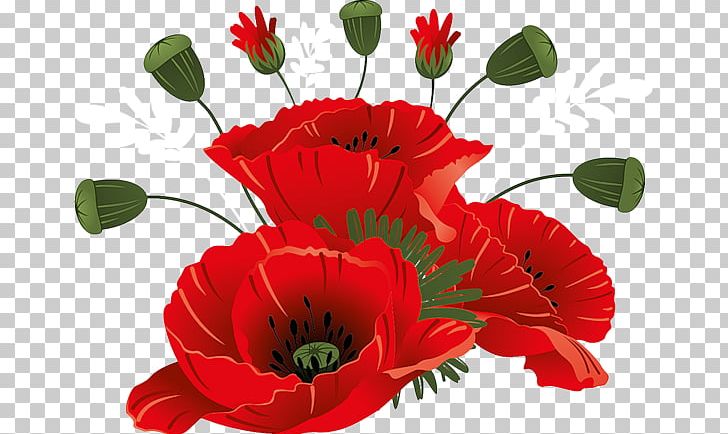 Flower PNG, Clipart, Annual Plant, Blume, Coquelicot, Floral Design, Floristry Free PNG Download