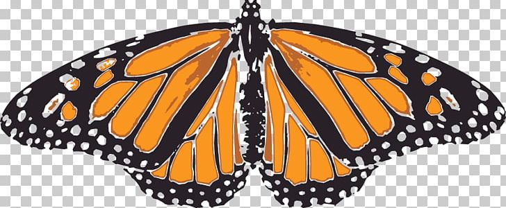 Monarch Butterfly Orange Pieridae PNG, Clipart, Art, Arthropod, Brush Footed Butterfly, Butterflies And Moths, Butterfly Free PNG Download