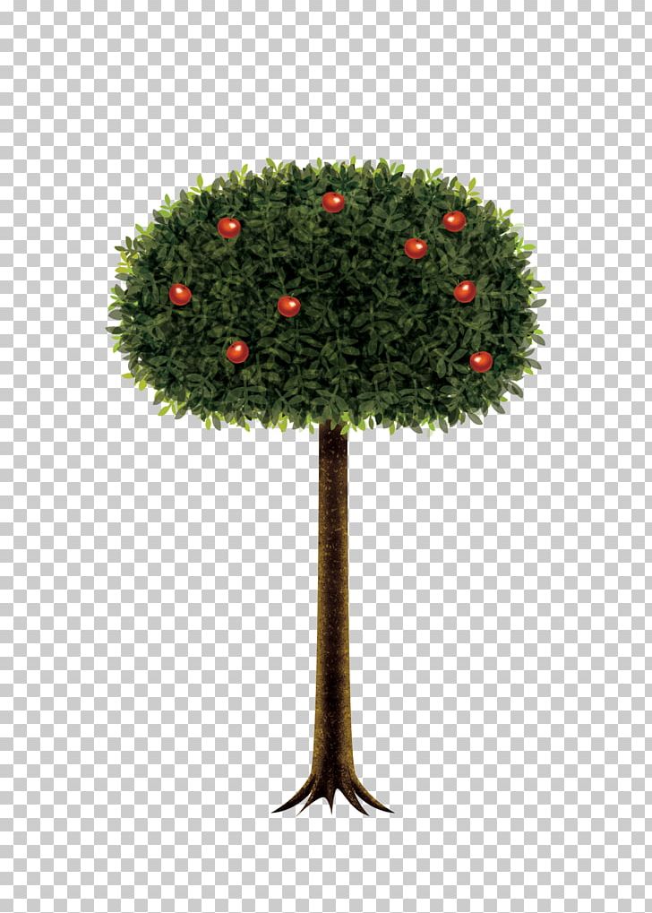 Apples Auglis Tree PNG, Clipart, Apple, Apple Fruit, Apples, Apple Tree, Auglis Free PNG Download