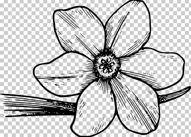 Flower Paper Coloring Book PNG, Clipart, Adult, Artwork, Black And White, Bud, Callalily Free PNG Download