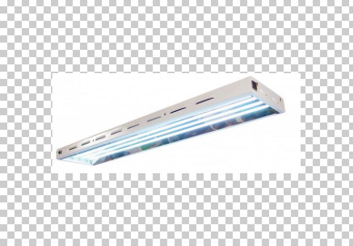 Fluorescent Lamp Fluorescence PNG, Clipart, Fluorescence, Fluorescent Lamp, Lamp, Lighting, Secret Garden Wind Free PNG Download