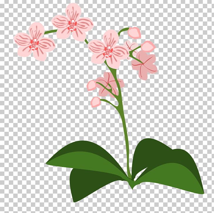 Orchids PNG, Clipart, Cattleya Orchids, Desktop Wallpaper, Download, Flora, Floral Design Free PNG Download