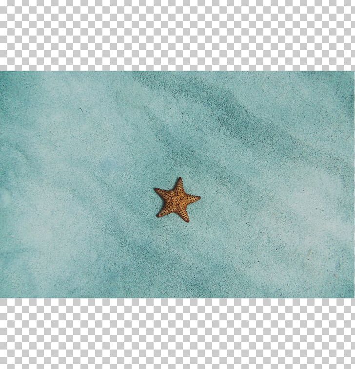 Starfish Turquoise Sky Plc PNG, Clipart, Animals, Aqua, Echinoderm, Marine Invertebrates, Sky Free PNG Download