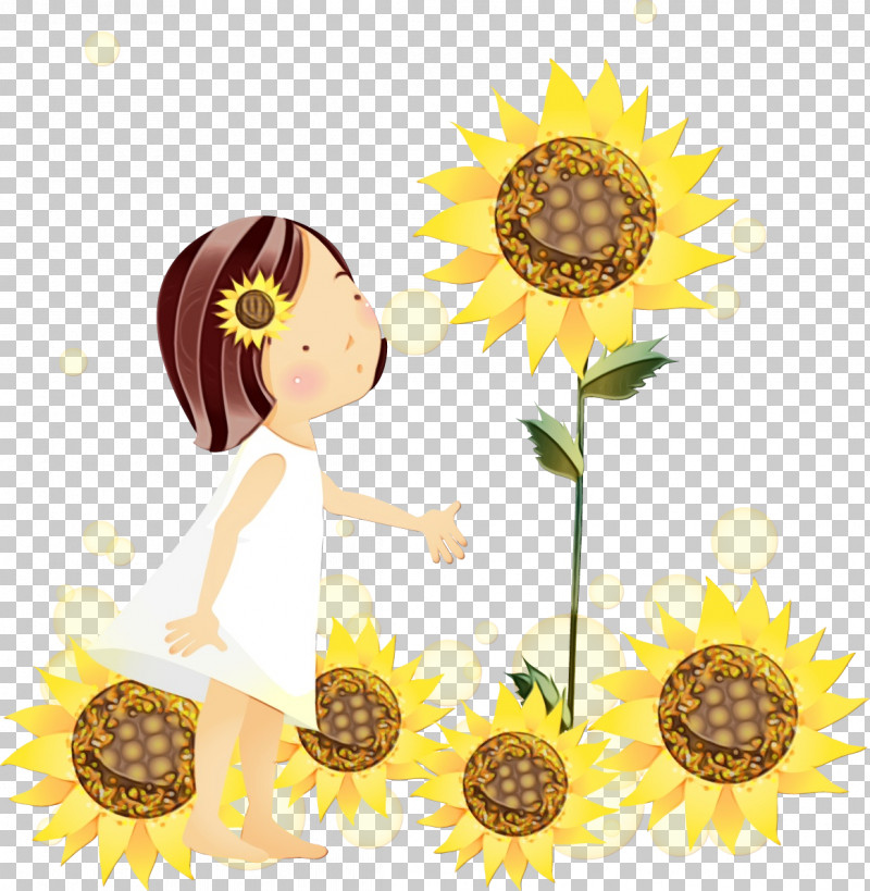 Sunflower PNG, Clipart, Asterales, Camomile, Chamomile, Daisy Family, Dandelion Free PNG Download