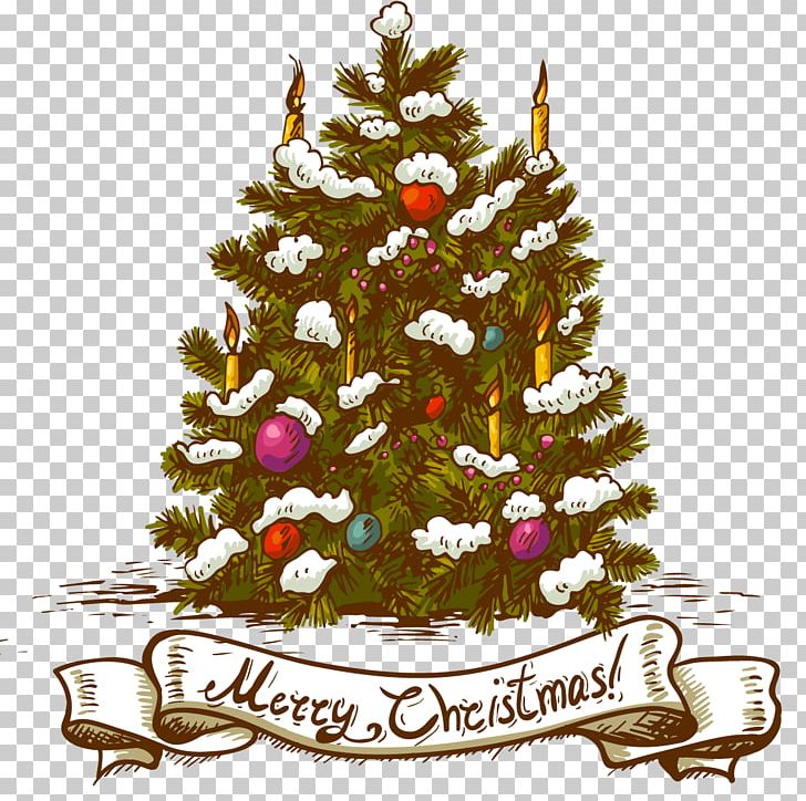 Christmas Tree Christmas Ornament PNG, Clipart, Christmas Card, Christmas Decoration, Christmas Frame, Christmas Lights, Christmas Vector Free PNG Download