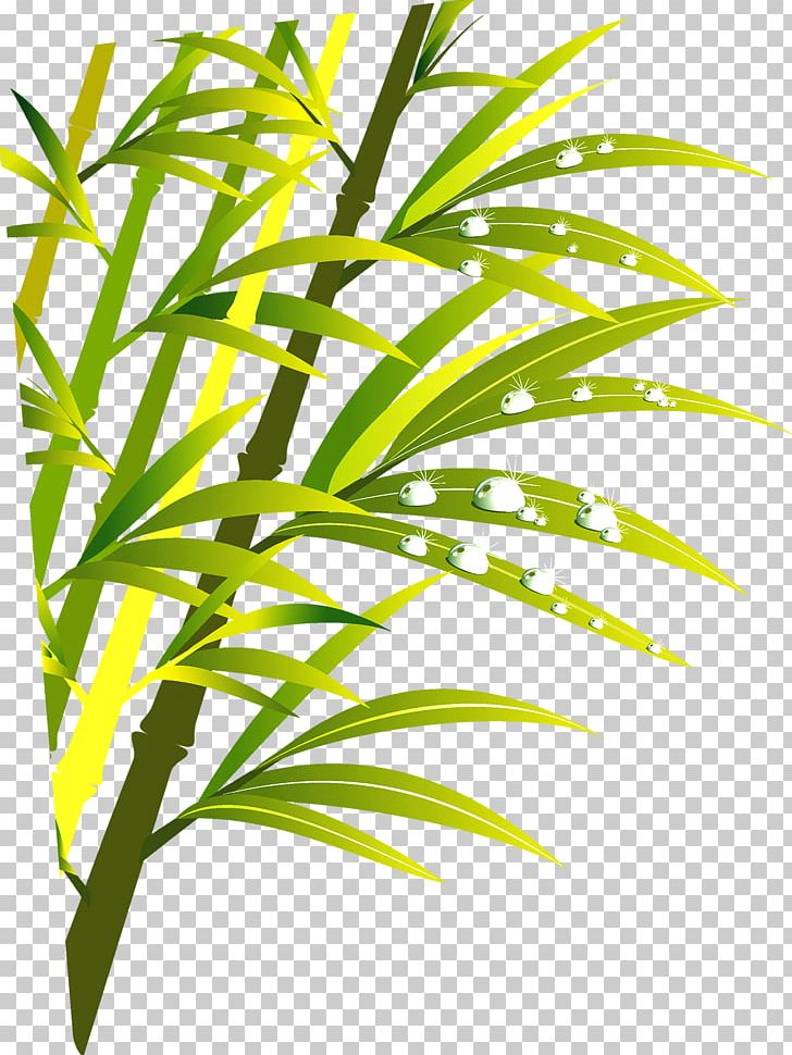Bamboo PNG, Clipart, Background Green, Bamboo, Bamboo Leaves, Bamboo Vector, Download Free PNG Download