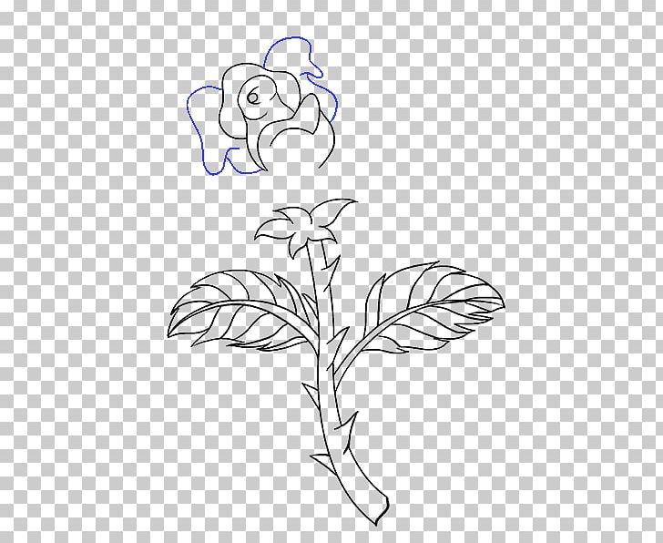 Drawing Plant Stem Rose Flower Sketch PNG, Clipart, Angle, Art, Art Museum, Branch, Chibi Free PNG Download