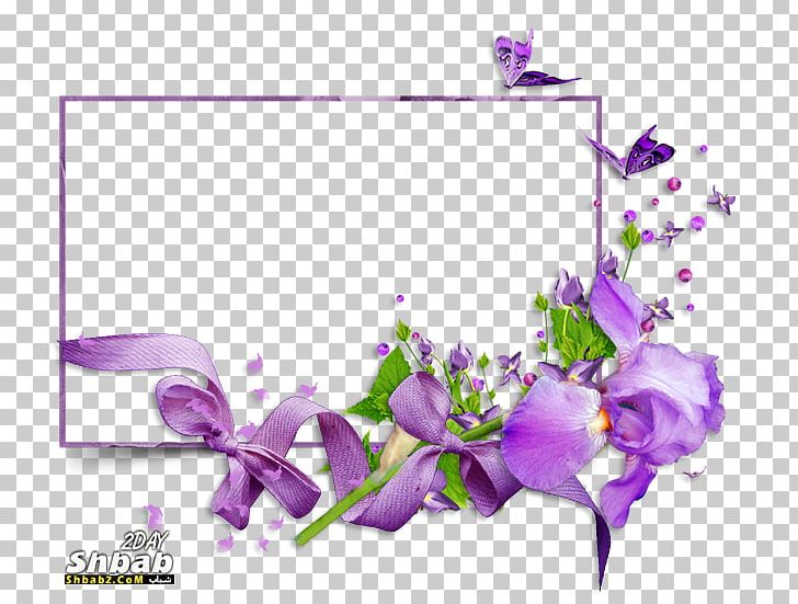 Floral Design تهنئة Birthday PNG, Clipart, Animaatio, Birthday, Blossom, Branch, Computer Wallpaper Free PNG Download