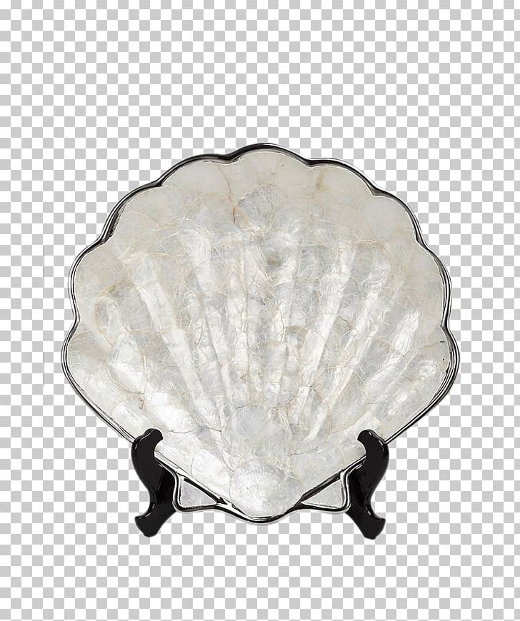 Seashell Conch Entryway PNG, Clipart, Art, Articles, Articles For Daily Use, Ceramic, Christmas Ornament Free PNG Download
