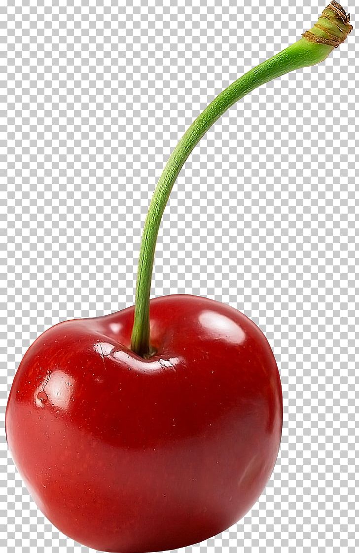 Cherry Cerasus Computer Icons PNG, Clipart, Auglis, Bell Peppers And Chili Peppers, Berry, Cerasus, Cherry Free PNG Download