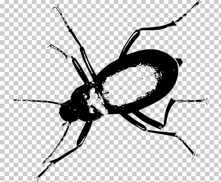 Darkling Beetle Portable Network Graphics Mealworm Computer Icons PNG, Clipart, Arthropod, Beetle, Black And White, Brio, Computer Icons Free PNG Download