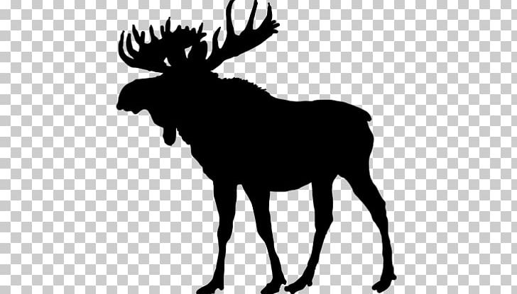 Moose Deer Silhouette PNG, Clipart, Antler, Black And White, Cartoon, Deer, Elk Free PNG Download