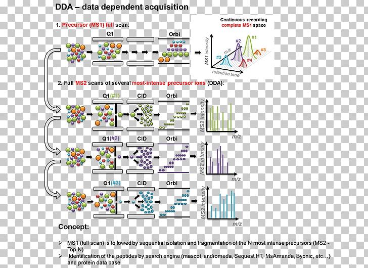 Quantitative Proteomics Data-independent Acquisition Mass Spectrometry Orbitrap PNG, Clipart, Area, Diagram, Document, Information, Labelfree Quantification Free PNG Download