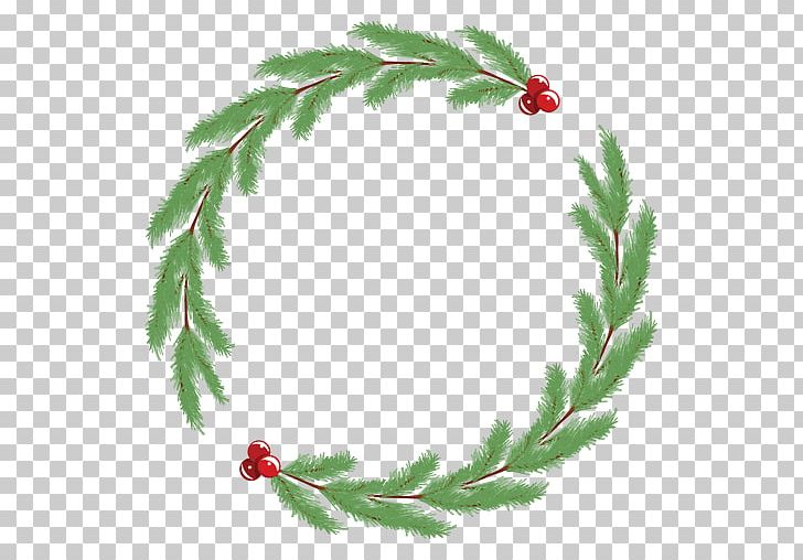 Wreath Christmas Ornament Garland PNG, Clipart, Aquifoliaceae, Aquifoliales, Branch, Christmas, Christmas Decoration Free PNG Download